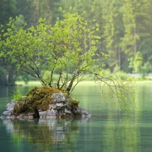 Understanding Anxiety