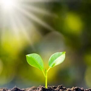 Introduction to Recovery