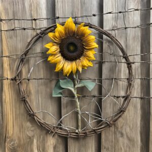 Closing the Gap between Mental and Physical Health